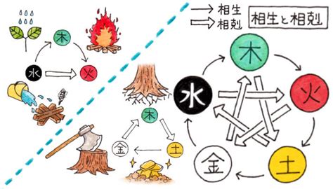 火剋|第24回 木火土金水の正しい関係（相生と相剋） 